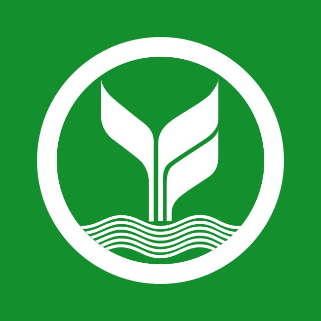 BIGX9 bank 11